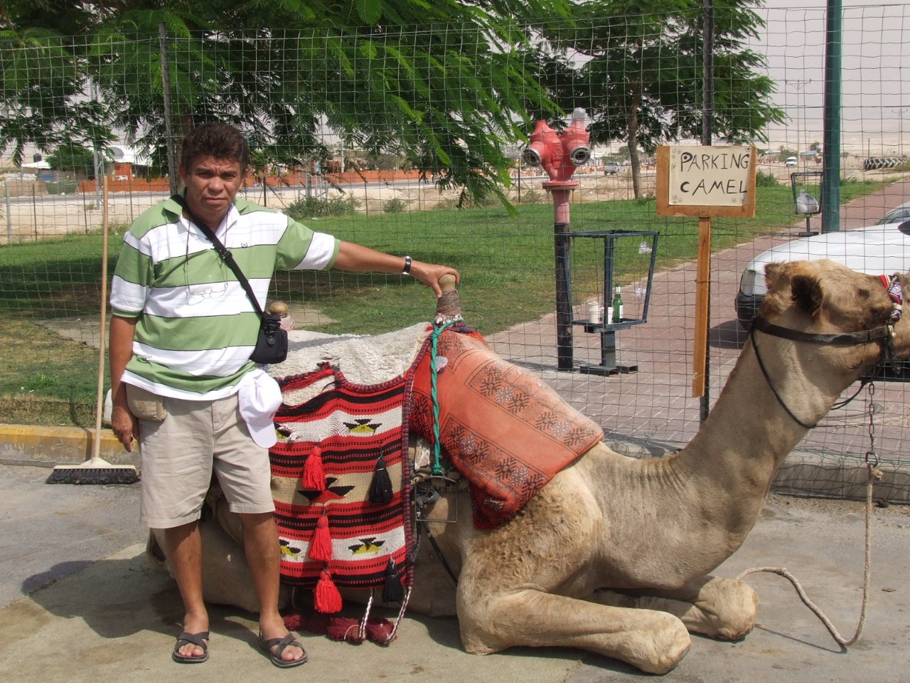 CARAVANAS (20)